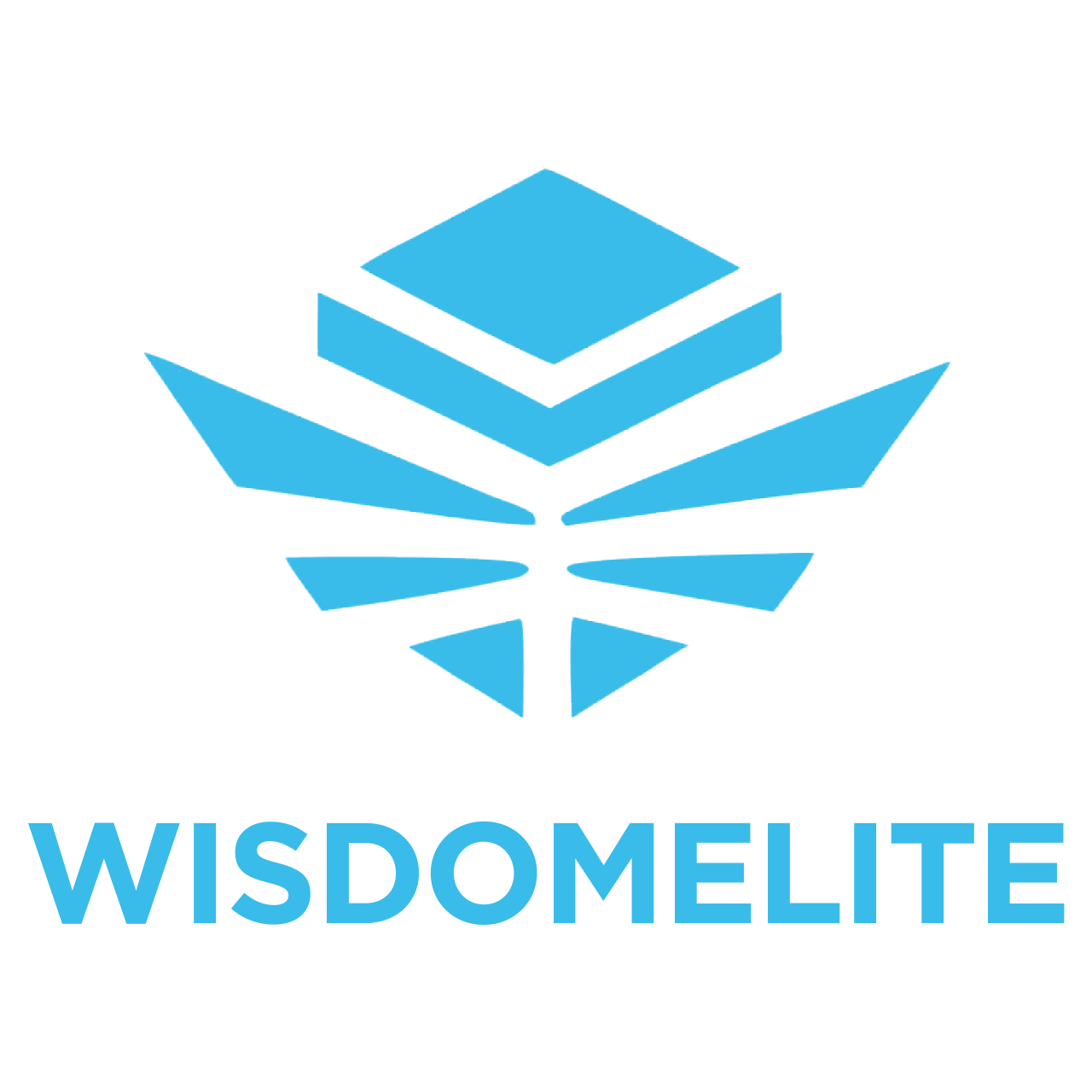 Wisdomelite Wiki