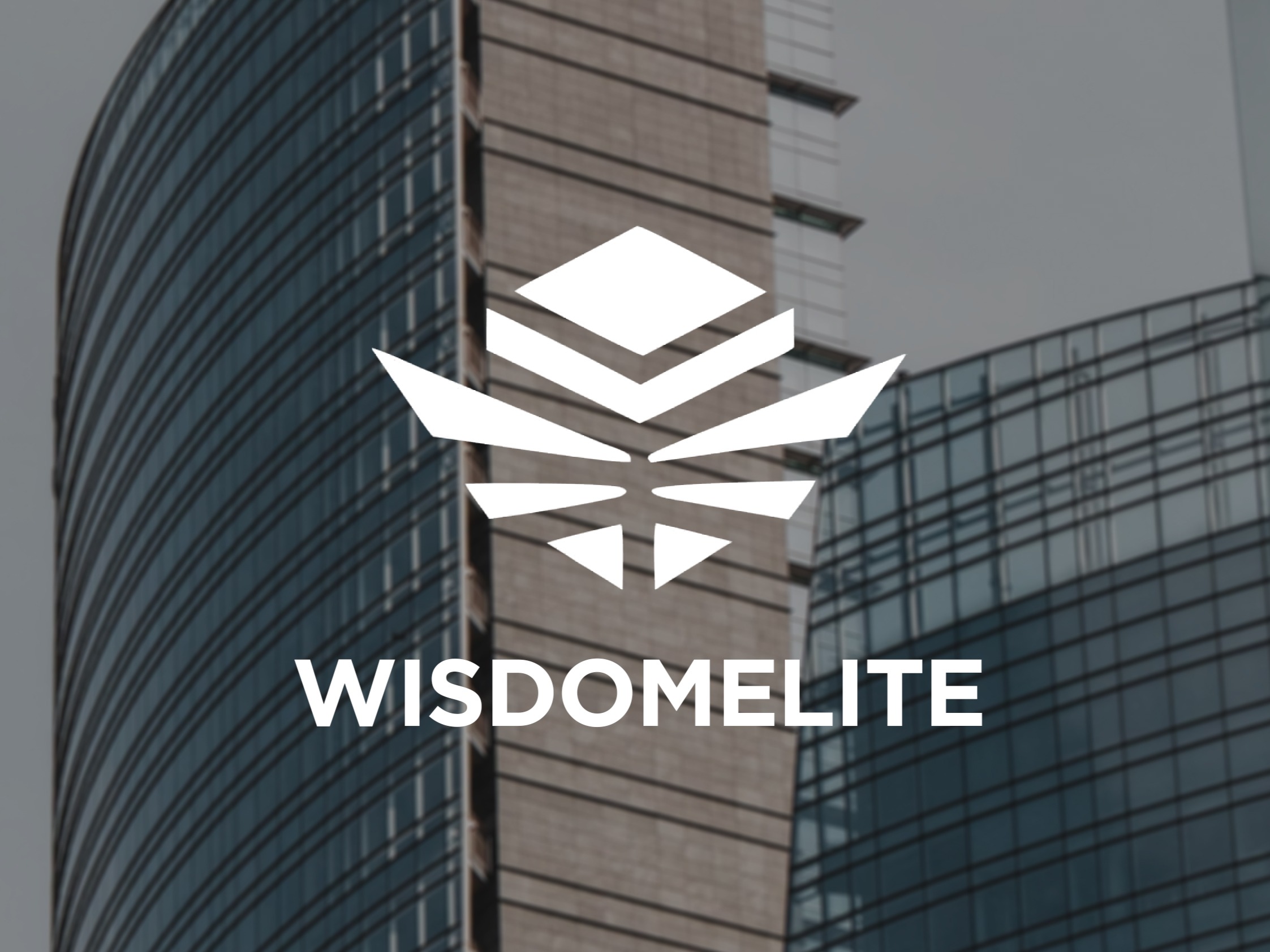 Finding Opportunity in a Bear Market: Seize Crypto Investment Potential with WISDOMELITE